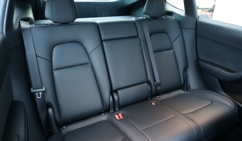 TESLA MODEL Y STANDARD RWD complet