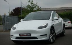 TESLA MODEL Y LONG RANGE DUAL MOTOR AWD